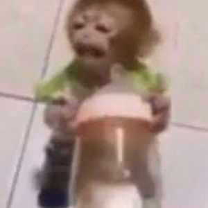 Meet your Posher, Fernando